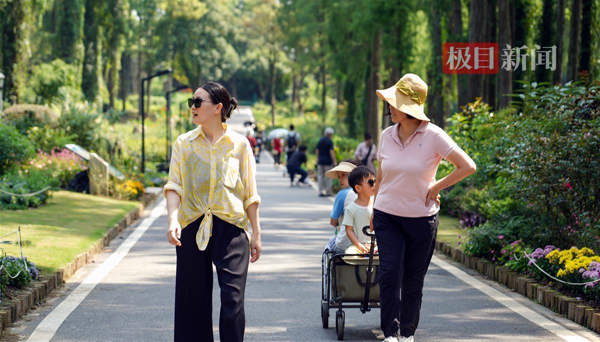 巨宏国际下载